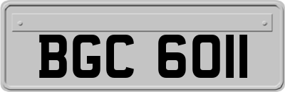 BGC6011