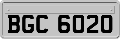 BGC6020
