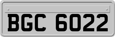BGC6022