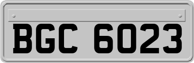 BGC6023