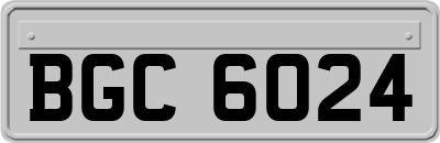 BGC6024