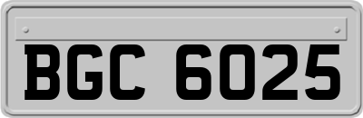 BGC6025