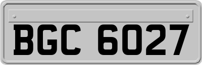 BGC6027