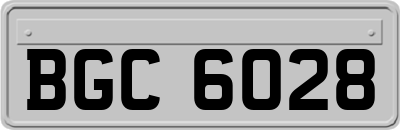 BGC6028