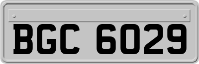 BGC6029