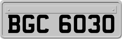 BGC6030