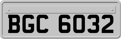BGC6032