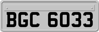 BGC6033