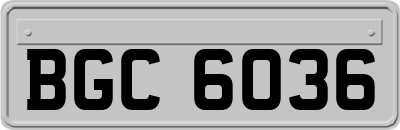 BGC6036