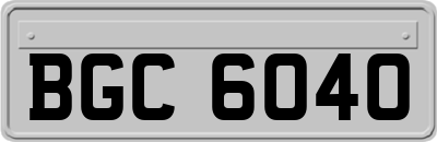 BGC6040