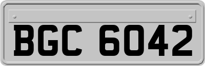 BGC6042