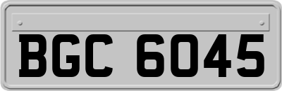 BGC6045