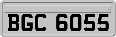 BGC6055