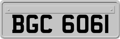 BGC6061