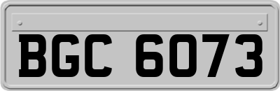 BGC6073