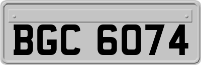 BGC6074