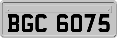 BGC6075