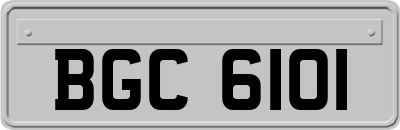 BGC6101
