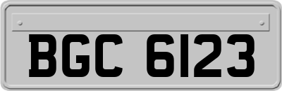 BGC6123