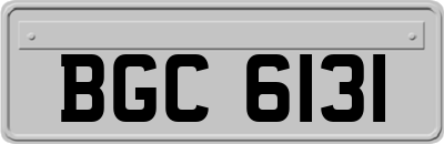 BGC6131