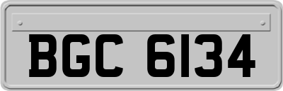 BGC6134