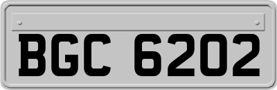 BGC6202