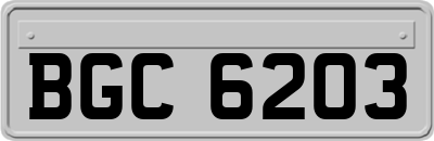 BGC6203