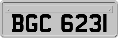 BGC6231