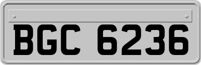 BGC6236