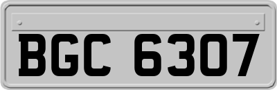 BGC6307