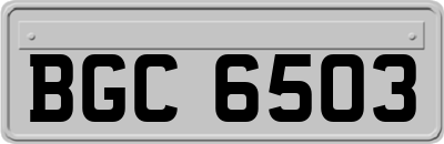 BGC6503