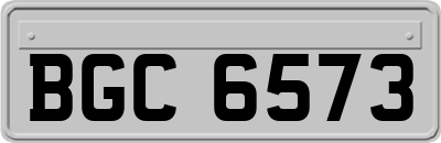 BGC6573