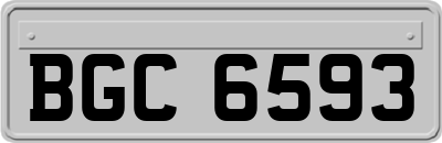 BGC6593