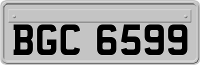 BGC6599