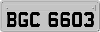 BGC6603