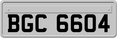 BGC6604