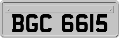 BGC6615