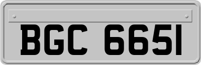 BGC6651