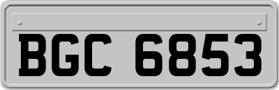 BGC6853