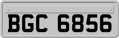 BGC6856