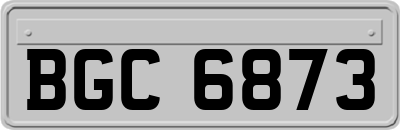 BGC6873