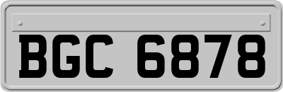 BGC6878
