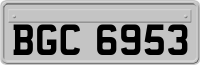 BGC6953