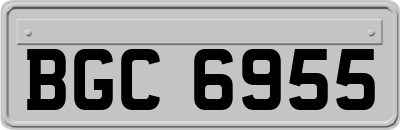 BGC6955