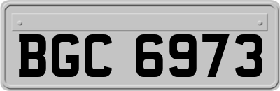 BGC6973