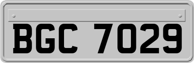 BGC7029