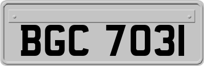 BGC7031