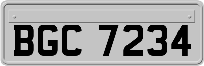 BGC7234