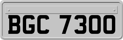 BGC7300