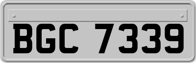 BGC7339